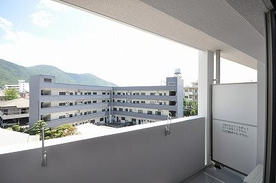 エヴァーグリーンQ その他7