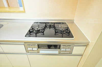 パークサイドヴィラ その他14