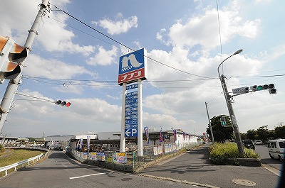 クラポンテＭⅡ  周辺画像5