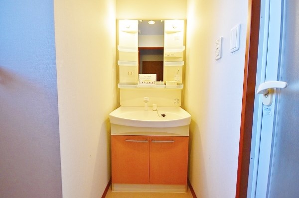 ニューガイア上石田  その他1