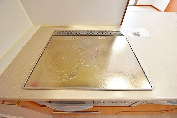 ニューガイア上石田  その他19