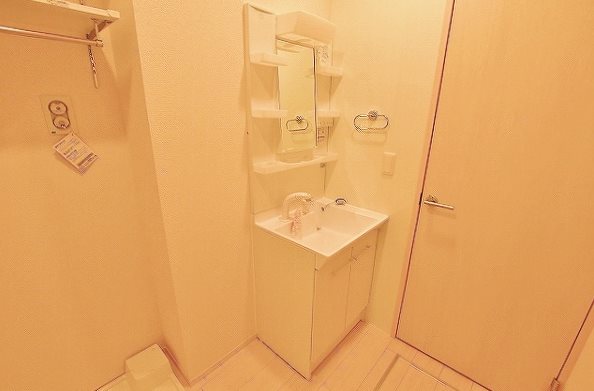 Ｌｅａｆｕｌｌ その他1