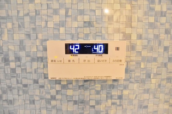 Ｌｅａｆｕｌｌ その他22