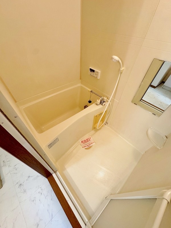 グランドフェニックス その他21