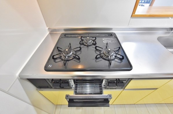 GALA PLATINUM COURT（ガーラプラチナコート） その他5