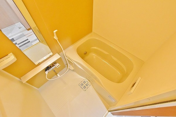 GALA PLATINUM COURT（ガーラプラチナコート） 風呂画像