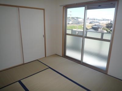 ミラドールＦ   その他13