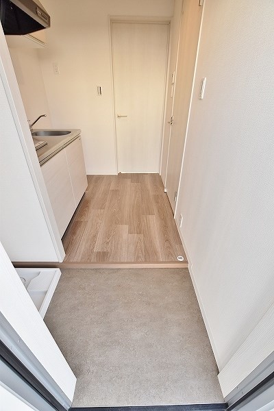 フェルト263 その他11