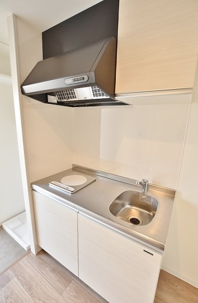 フェルト263 その他15