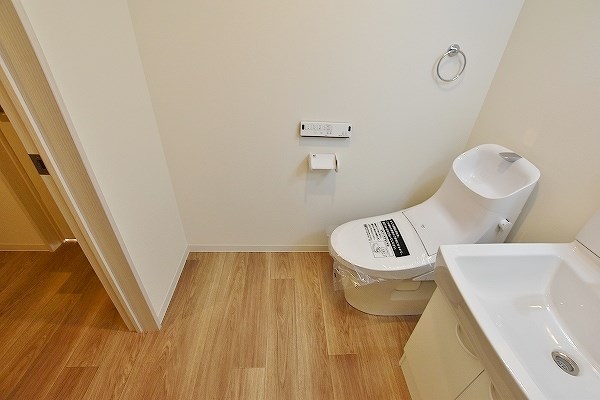 フェルト263 その他21