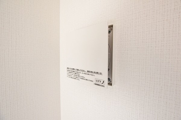 フェルト263 その他27