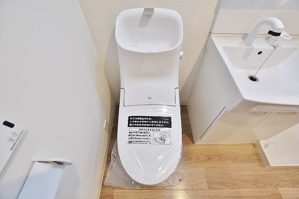 フェルト263 その他2