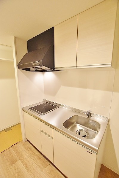 フェルト263 その他13