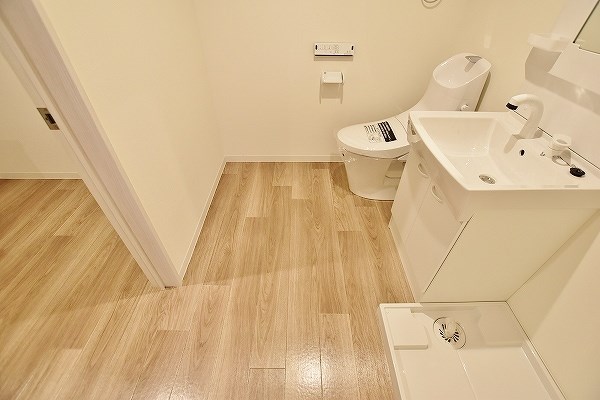 フェルト263 その他16