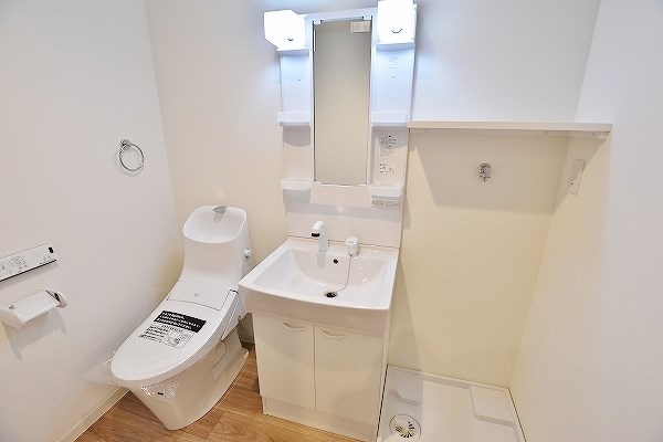 フェルト263 その他1