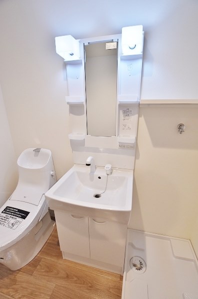 フェルト263 その他19