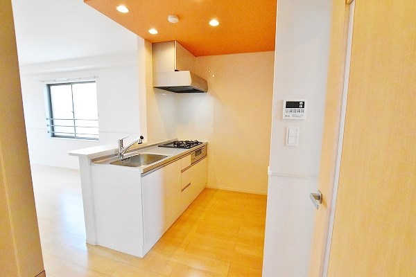 ピラーズ石田 その他19