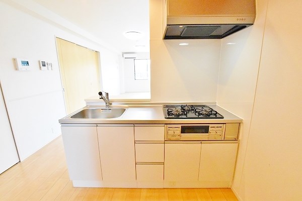 ピラーズ石田 その他21