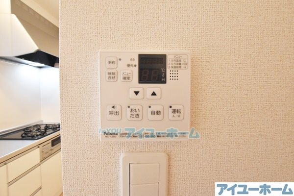 アデニウム錦水 その他27