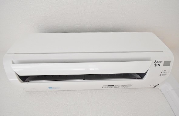 Ｓｕｎｆｌｏｗｅｒ(サンフラワー) その他4