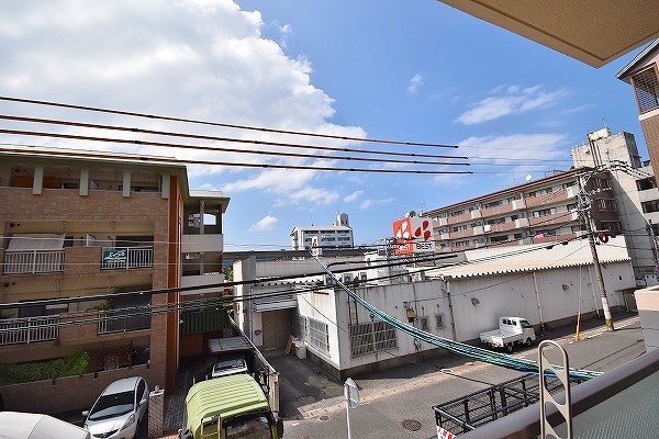 Ｓｕｎｆｌｏｗｅｒ(サンフラワー) その他26