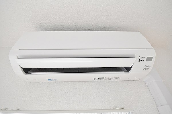 Ｓｕｎｆｌｏｗｅｒ(サンフラワー) その他4