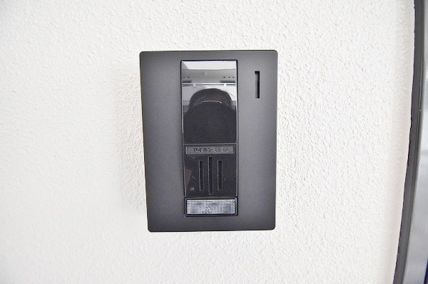 Ｓｕｎｆｌｏｗｅｒ(サンフラワー) その他10