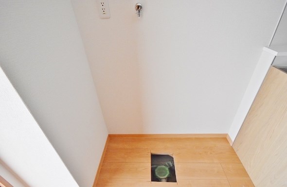 Ｓｕｎｆｌｏｗｅｒ(サンフラワー) その他15