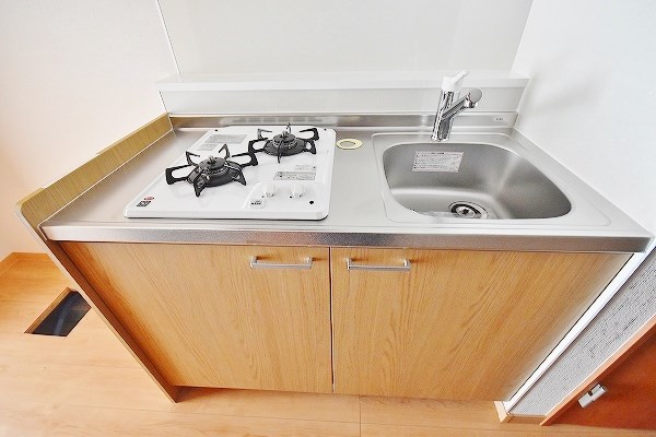 Ｓｕｎｆｌｏｗｅｒ(サンフラワー) その他17