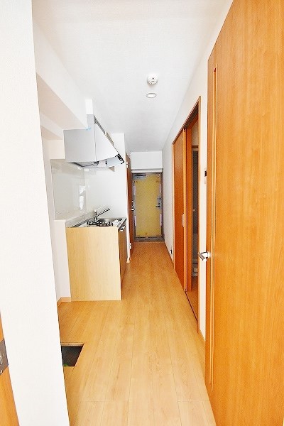 Ｓｕｎｆｌｏｗｅｒ(サンフラワー) その他19