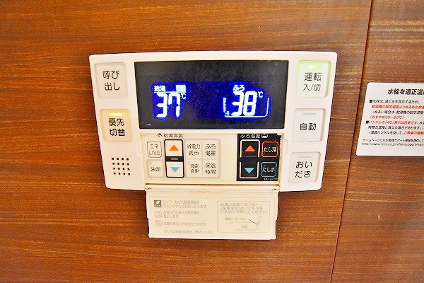 ルーブル黄金 その他4