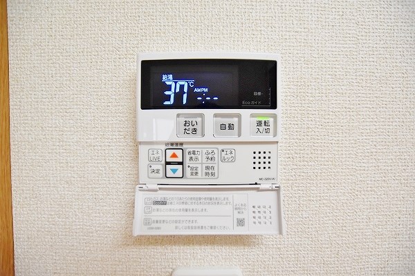 ルーブル黄金 その他30