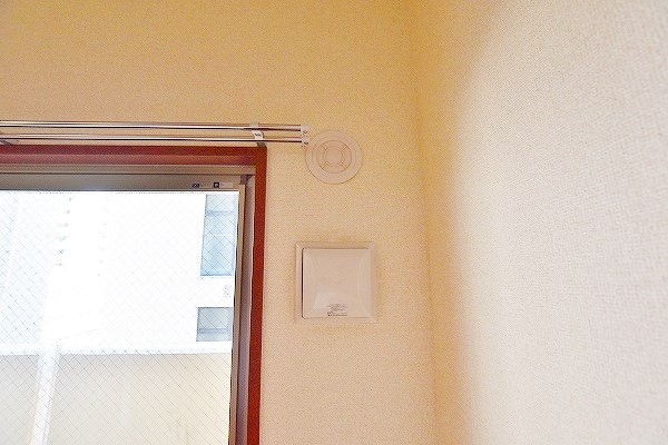 ルーブル黄金 その他37
