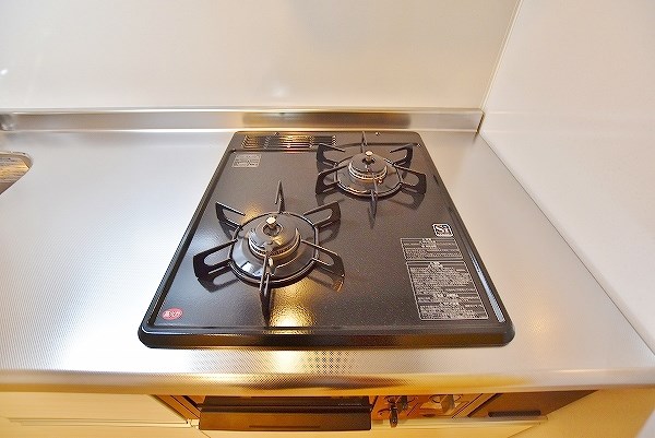 salice柳町Ⅱ(サリチェ柳町Ⅱ) その他20