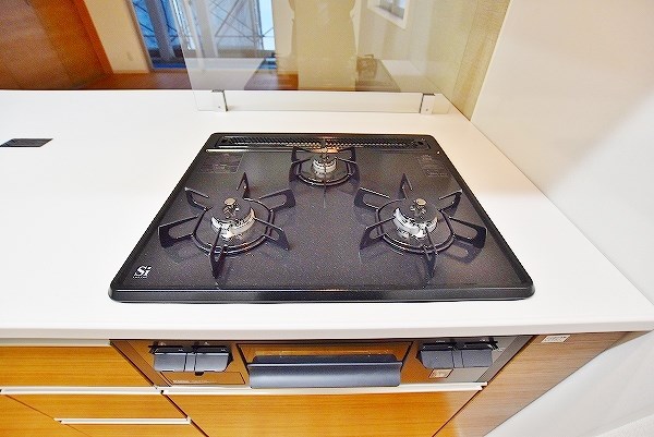 salice柳町Ⅱ(サリチェ柳町Ⅱ) その他23