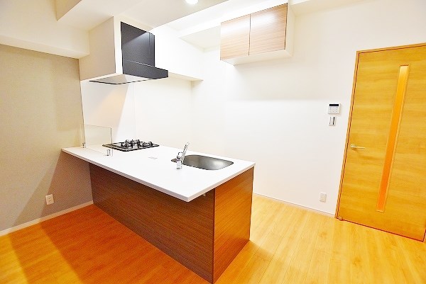 salice柳町Ⅱ(サリチェ柳町Ⅱ) その他24