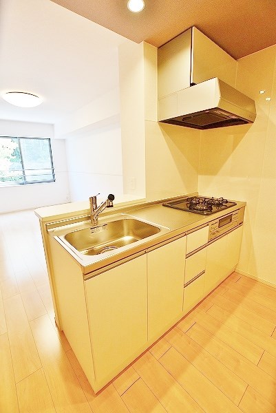 ヴィラルーチェ　Ａ棟    その他24