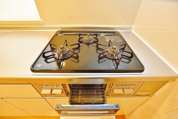 ヴィラルーチェ　Ａ棟  その他25