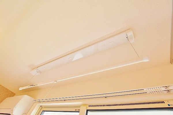 Ａｒｉｇａ　10（アリガ　トウ） その他27