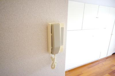 レディローザ その他3