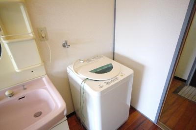 レディローザ その他7