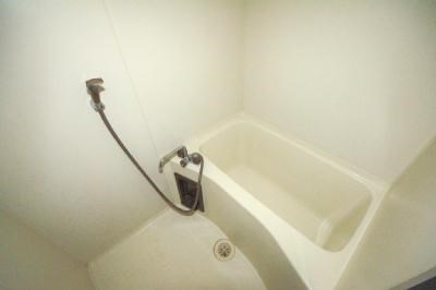 レディローザ その他12