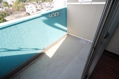 レディローザ その他17