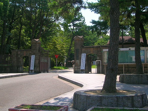 アドバンスM-1 周辺画像5