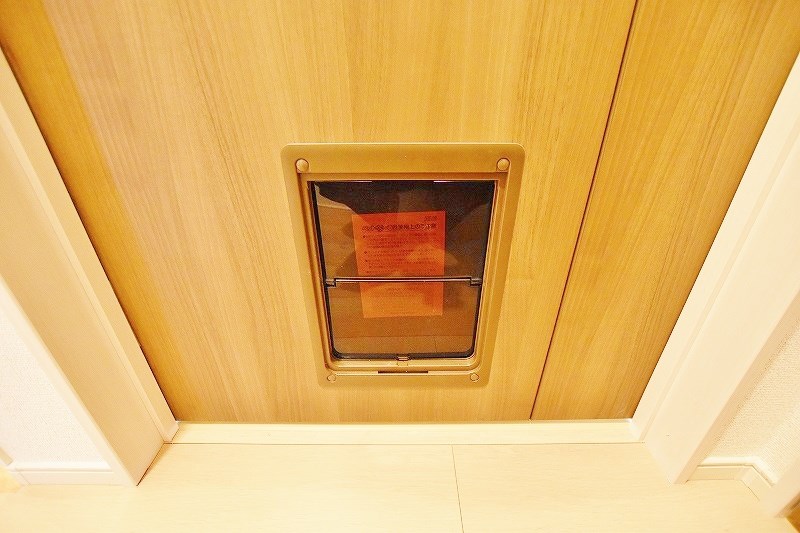 リヴァーサ・ヒル その他17