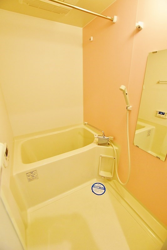 ギャラクシーヴィーラブライト  その他18