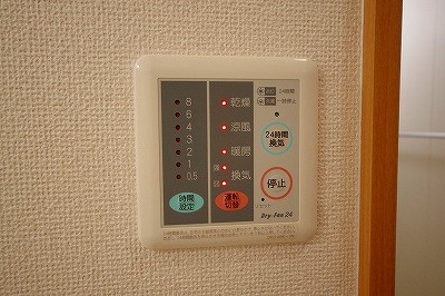 エヴァーグリーンＮ その他3