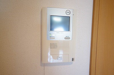 エヴァーグリーンＮ その他4