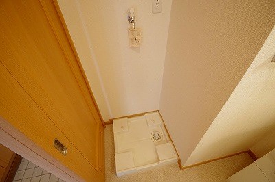 エヴァーグリーンＮ その他12