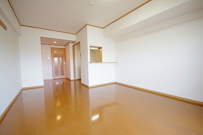 エヴァーグリーンＮ その他17